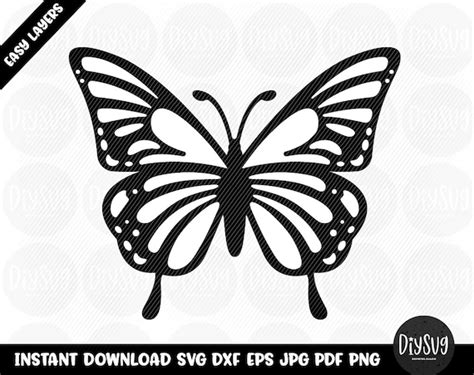 Butterfly Butterfly Svg Cricut Svg Files For Cricut Cricut Etsy