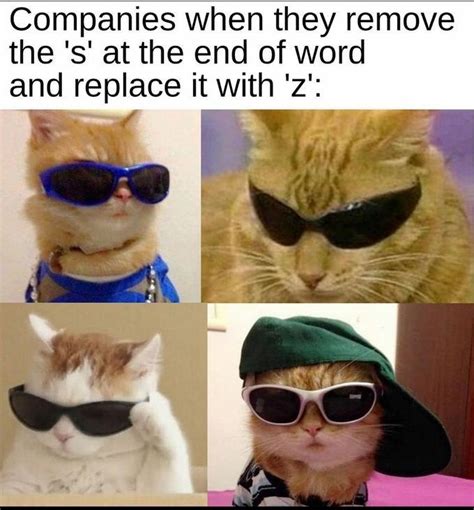 Cool Catz Meme By Shaquilleoatmeal Memedroid