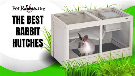 The Best Rabbit Hutches Indoor And Outdoor Rabbit Hutches Youtube