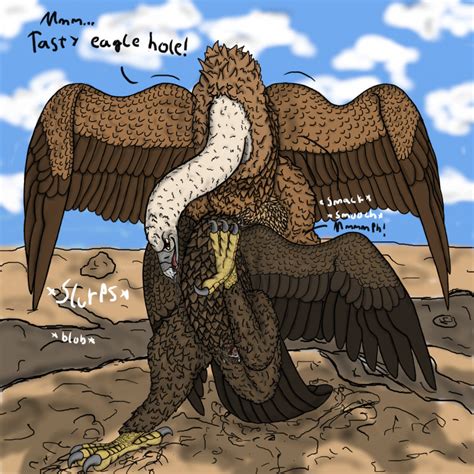 Rule 34 69 Anatomically Correct Avian Beakjob Bird Cloaca Cum Eagle Feral Gay Golden Eagle