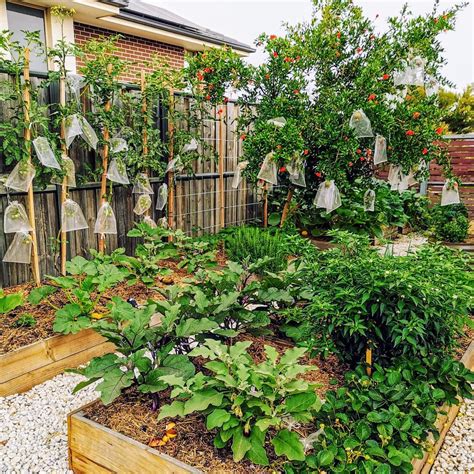 Designing Your Edible Garden The Home Garden