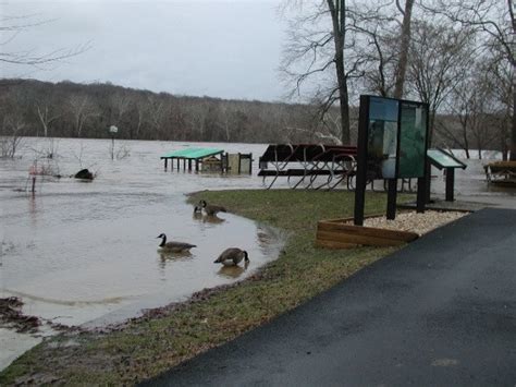 What Do Animals Do During A Rainstorm Our Stories And Perspectives