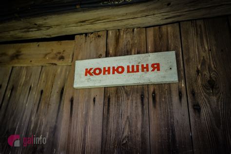 Категорія мсоп — ii (національний парк). Новини Львова: На Львівщині живуть унікальні нащадки диких ...