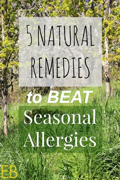 5 Natural Remedies To Beat Seasonal Allergies Eat Beautiful Holistic