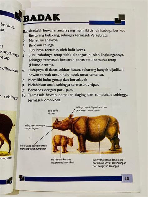 Kamus Visual Hewan Buku Alat Tulis Buku Di Carousell