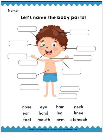 Worksheet will open in a new window. Printable: Identify the Body Parts Learning Worksheets ...