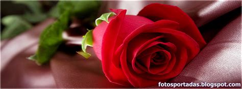 127 rosas imagenes fotos y gifs para compartir imagenes cool. Imágenes y fotos de rosas para portadas de facebook ...