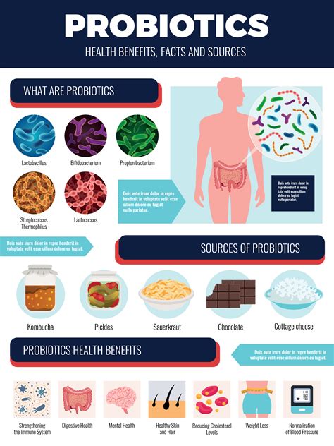 Probiotics For Adults Benefits