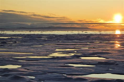 Eine extreme hitzewelle trifft die kanada und die usa. Quo vadis, Arktisches Eis? | Polarjournal