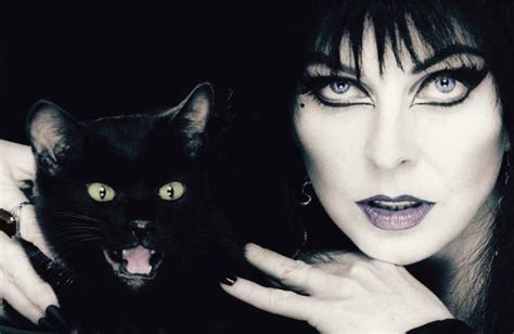 the woman behind elvira mistress of the dark on her 35th year as the bodacious horror hostess