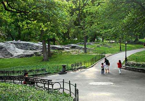Dene The Official Website Of Central Park Nyc