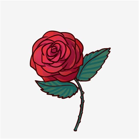 Dessin Animé Dessiné à La Main Rose Rouge Pour Un Usage Commercial, Rose, Fleur, Dessiné à La ...