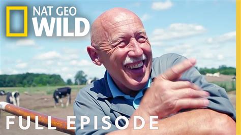 Incredible Dr Pol A Th Polapalooza Full Episode The Incredible Dr Pol YouTube