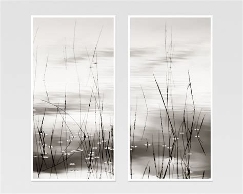 Zen Art Minimalist Nature Photography Abstract Black And White Etsy