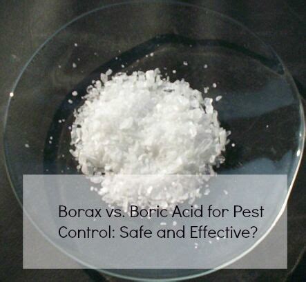 Using boric acid for roaches is an effective method to get to the root of the problem. Pin on For the Home