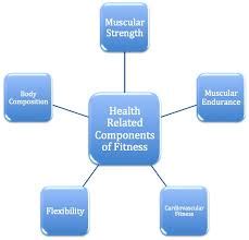 · cardiovascular endurance · muscular strength · muscular endurance · flexibility · body composition. Coach Riese PE: 5 Components of Health Related Physical ...