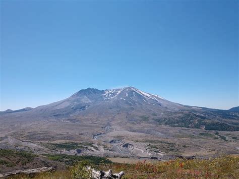 Maybe you would like to learn more about one of these? Mount St. Helens Visitor Center (Castle Rock) - 2020 All You Need to Know BEFORE You Go (with ...
