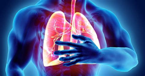 Embolie Pulmonaire Causes Sympt Mes Facteurs De Risque Et Traitement