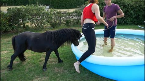 Shetland Pony Goes Swimming In A Pool Team Nalanta Youtube