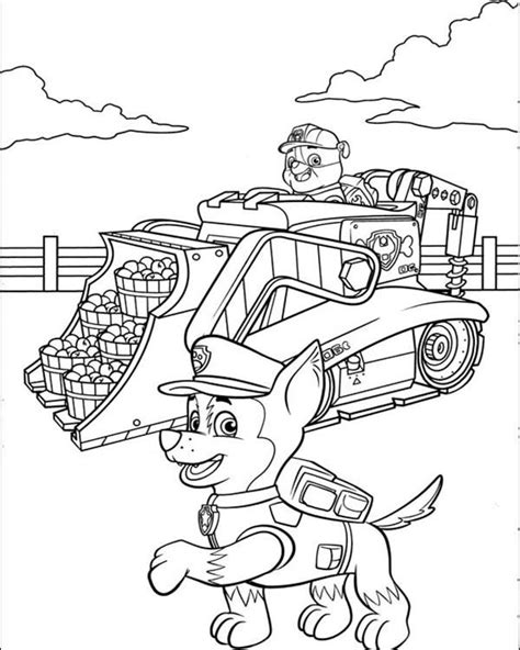 They are used for a huge range of tasks and come in all shpaes and sizes. Construction Truck Coloring Pages at GetColorings.com ...