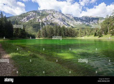 Alpine Mountaine Green Lake Gruner See Austria Stock Photo Alamy