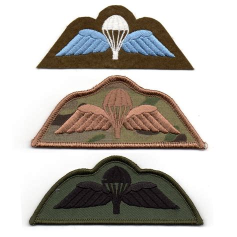 Cloth Jump Wings Patch The Airborne Shop