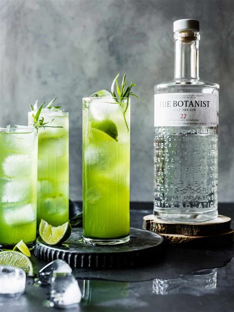 24 Gin And Tonic Recipes That Transform The Classic An Unblurred Lady