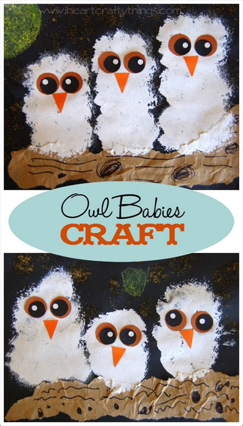 My Owl Barn Owl Babies Craft Using Pom Pom