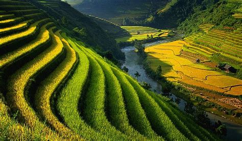 Gambar Pemandangan Sawah Dan Pegunungan Terindah Freewaremini