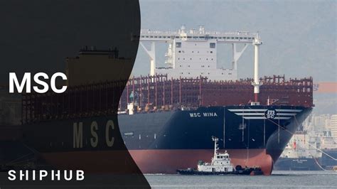 Msc One Of The Biggest Shipowner In The World Shiphub