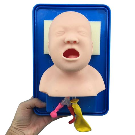Buy Gitdot Endotracheal Intubation Model Tracheal Intubation Training Simulator Model Teach