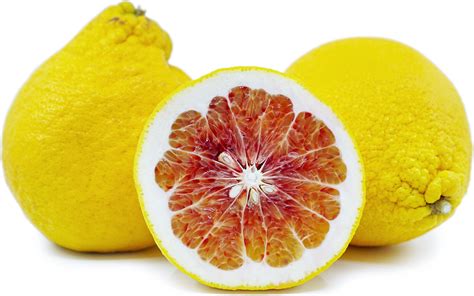 Valentine Pomelo Information, Recipes and Facts