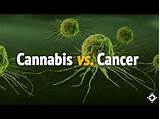 What Cancer Does Marijuana Cure