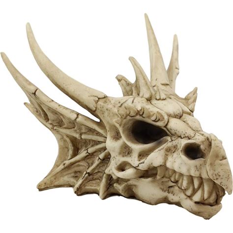 Dragon dimensions and world save below: Ebros Elder Jurassic Dragon Head Skull Realistic Fossil ...
