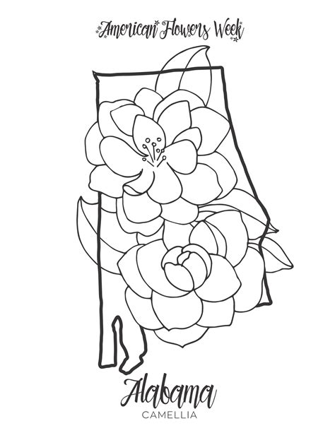 Alabama State Flower Coloring Page Coloring Pages