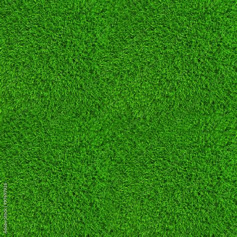 Green Lawn Grass Background Texture High Resolution Stock Photo Adobe