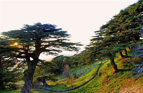 All In Lebanon Top Tourist Attractions Of Lebanon