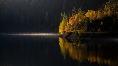 Fond Décran Lumière Du Soleil Paysage Forêt Tomber Nuit Lac