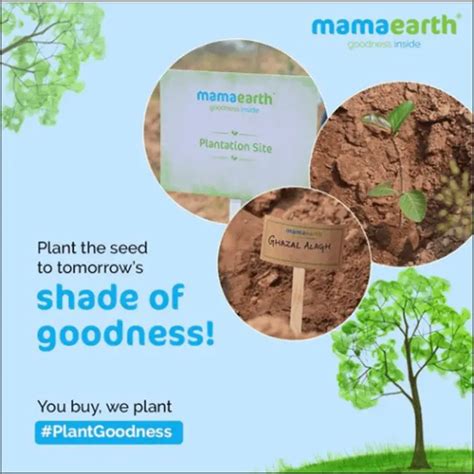 Mamaearth Marketing Strategy Success Secrets Revealed