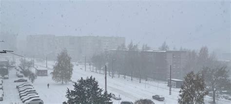 В четверг на Карелию обрушится метель с сильным снегом на дорогах