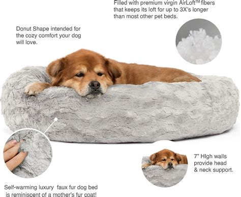 10 Best Dog Beds For Dachshunds In 2023 Pet Struggles