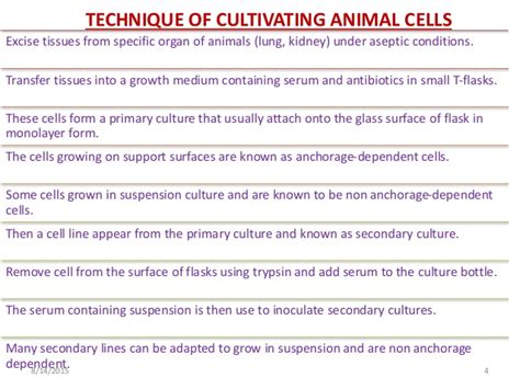 Tips and techniques for continuous cell lines. Bioreactors for animal cell suspension culture