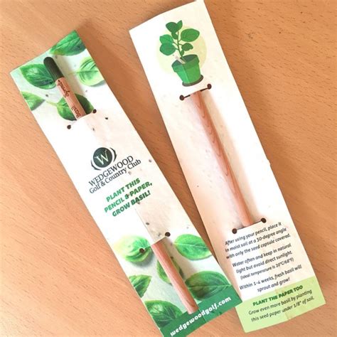 Sprout Pencil With Double Sided Basil Seed Paper Botanical Paperworks