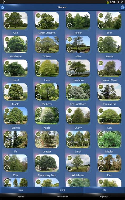 Tree Id British Trees Screenshot Identifying House Plants Tree Id
