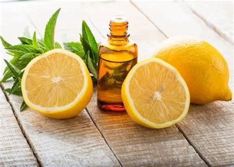 Lemon Oil At Rs 1950kg Lemon Essential Oil In Chennai Id 3922680473