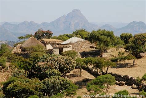 Village Near Adwa Tigray Ethiopia Planet