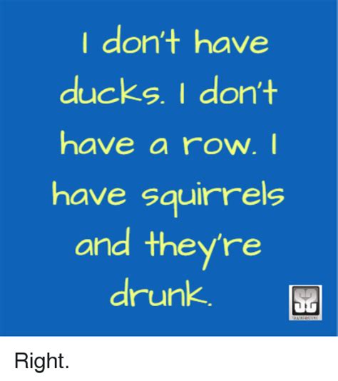 Multiple programs can help people with. I Don't Have Ducks I Don't Have a Row I Have Squirrels and They're Drunk Right | Meme on ME.ME