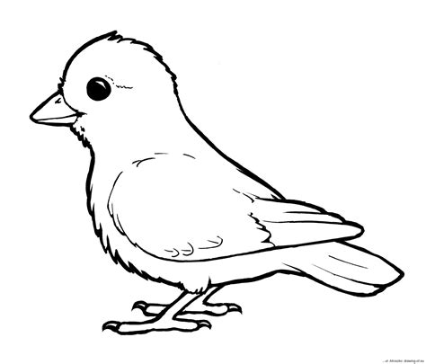 Bird coloring page – Line art illustrations