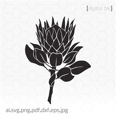 Protea Svg For Cutting And Printing Flower Svg Stencil Etsy