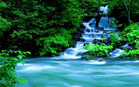 The Fountain At The Waterfall Wallpapers Interesting Forests With
